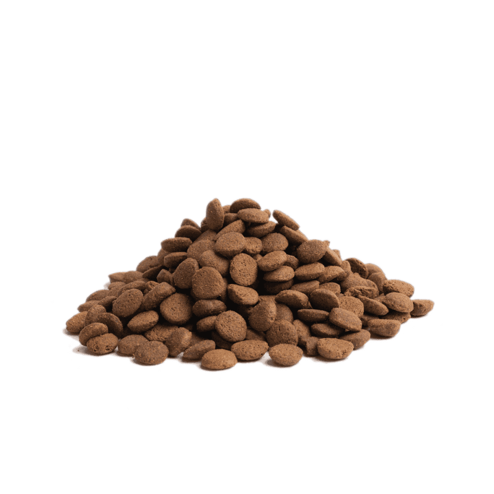 Essential Dog Food: Adult Highland Living (Beef, Turkey & Salmon) 10kg