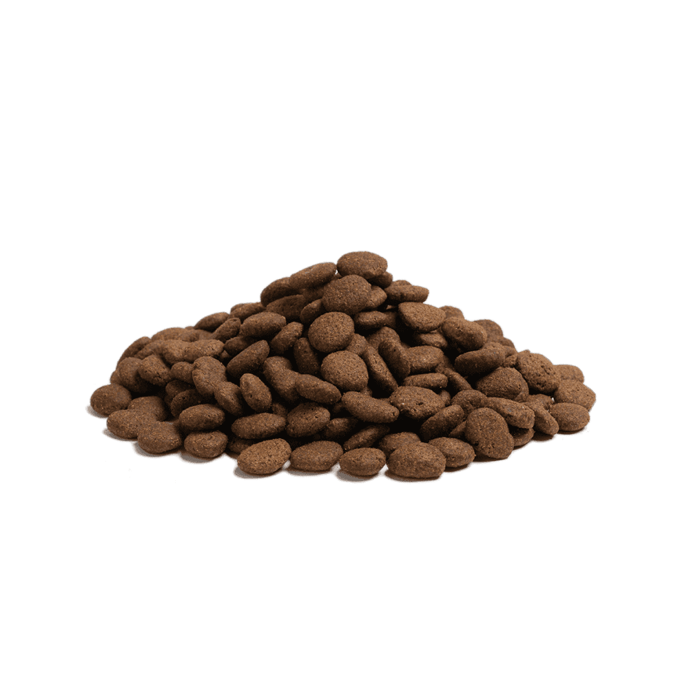 Essential Dog Food: Puppy The Beginning (Duck, Chicken & Salmon) Large Kibble 10kg