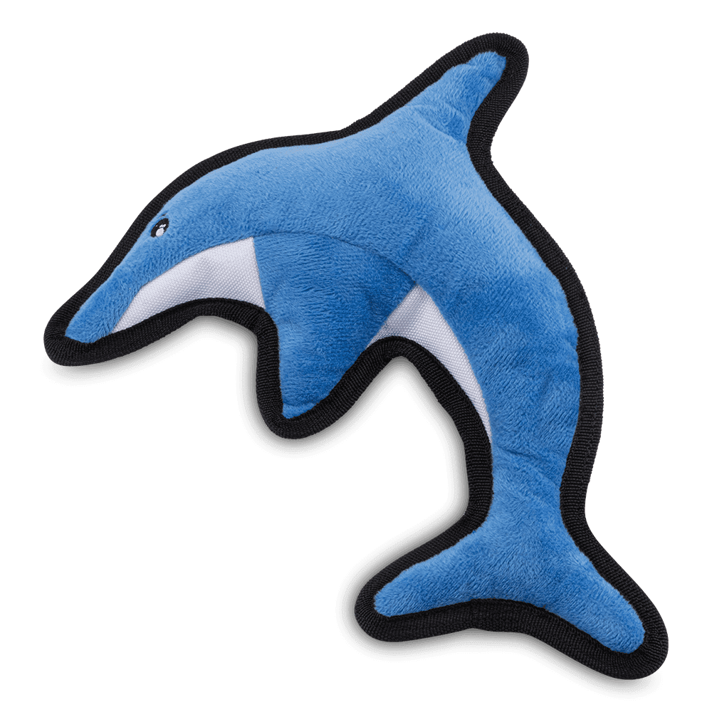 Beco David the Dolphin