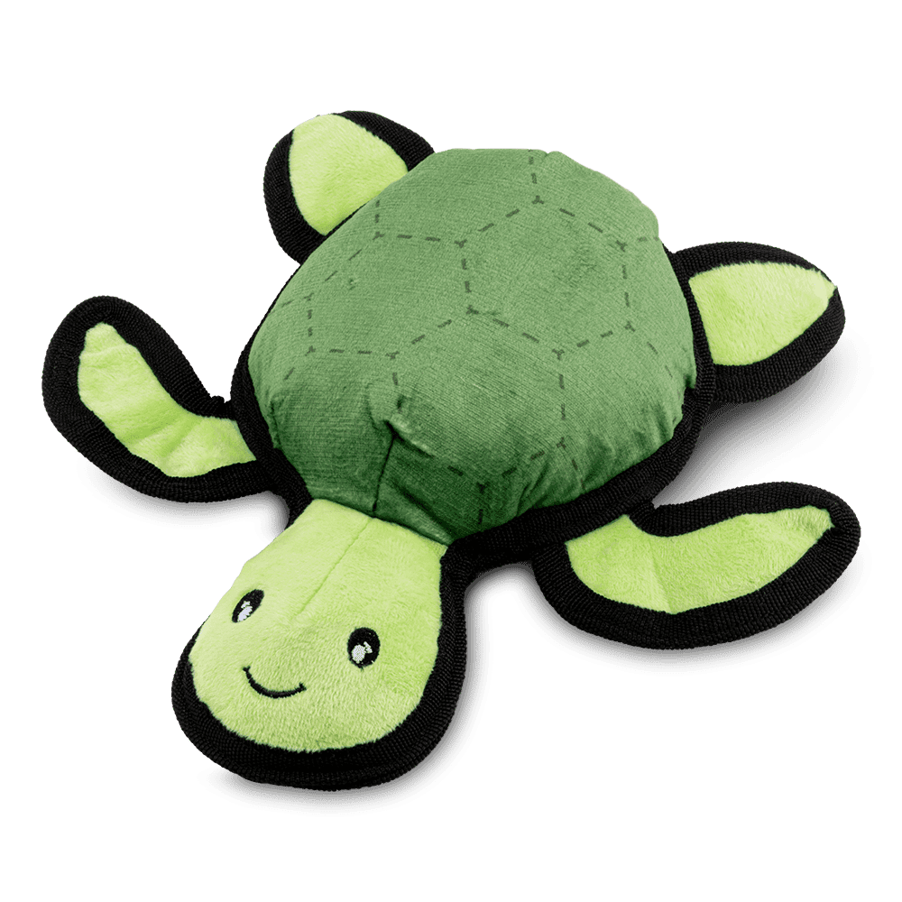 Beco Tommy the Turtle