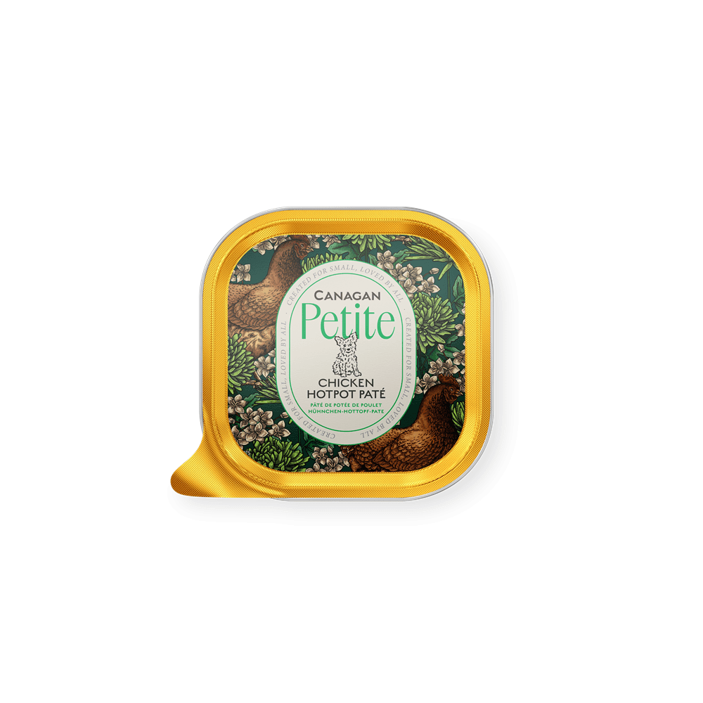Canagan Wet Dog Food: Petite Chicken Hotpot Pate 100g