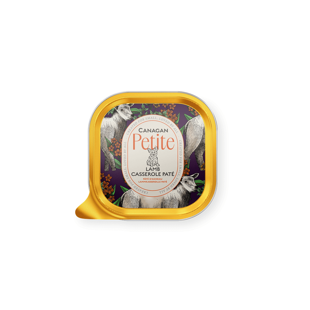 Canagan Wet Dog Food: Petite Lamb Casserole Pate 100g