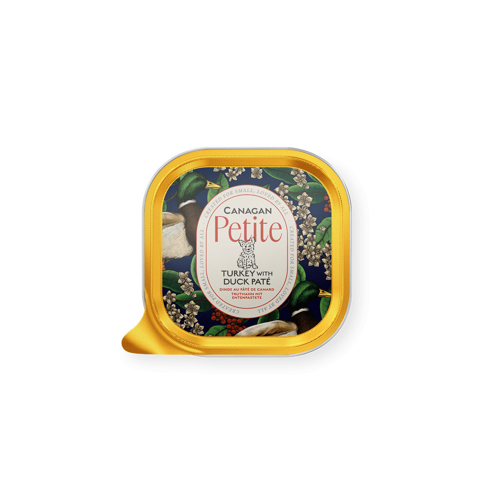 Canagan Wet Dog Food: Petite Turkey with Duck Pate 100g
