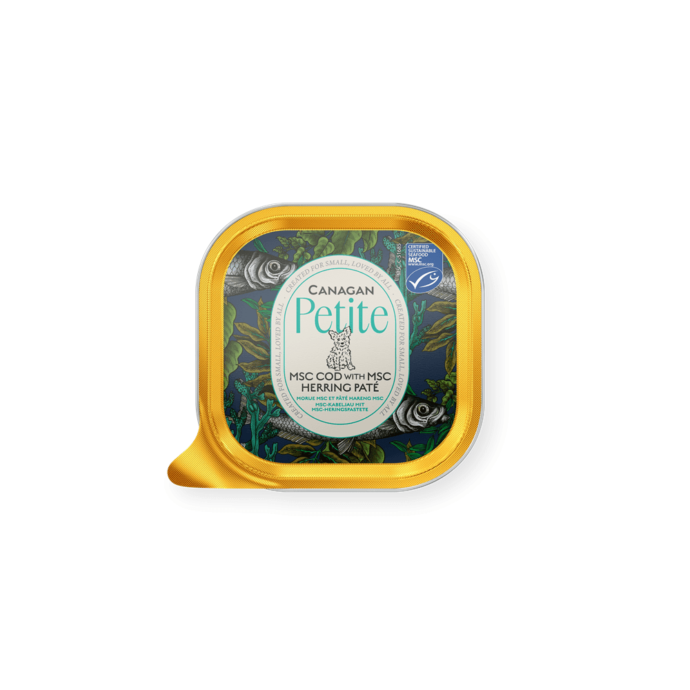 Canagan Wet Dog Food: Petite Cod with Herring Pate 100g