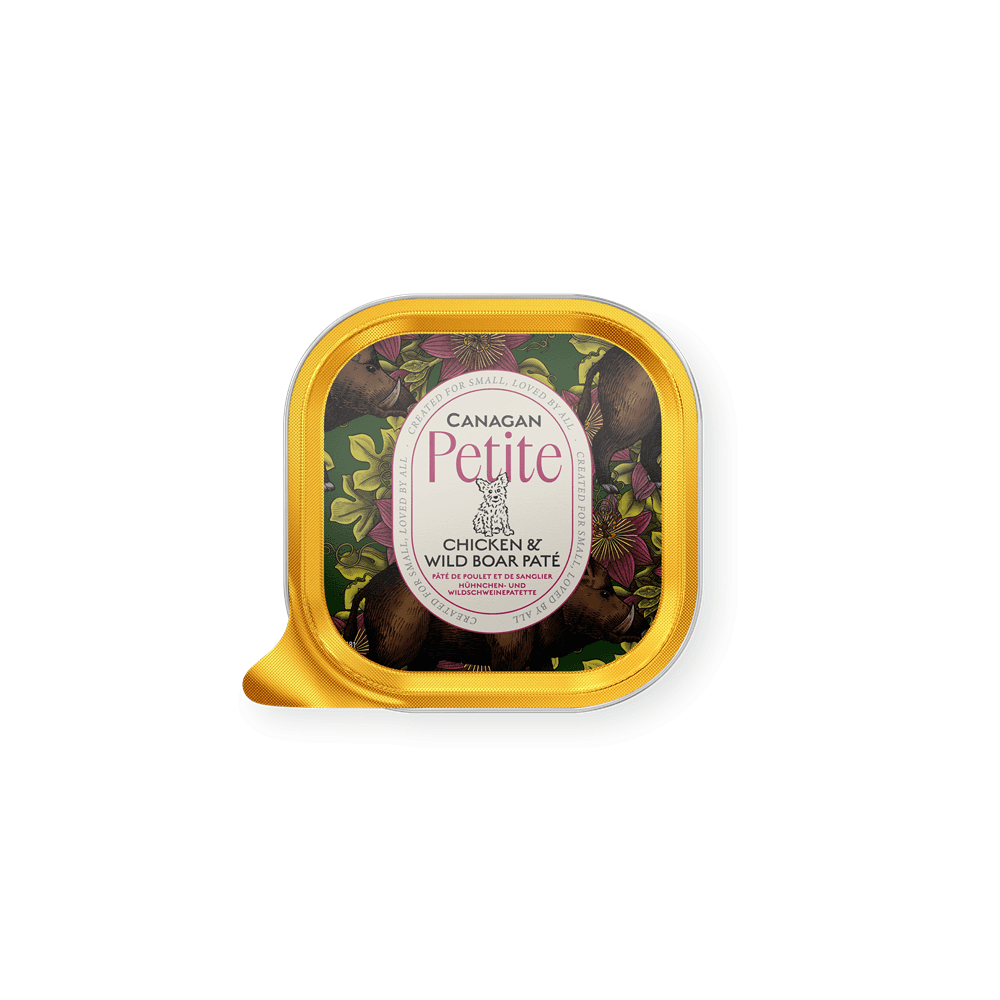 Canagan Wet Dog Food: Petite Chicken with Wild Boar Pate 100g
