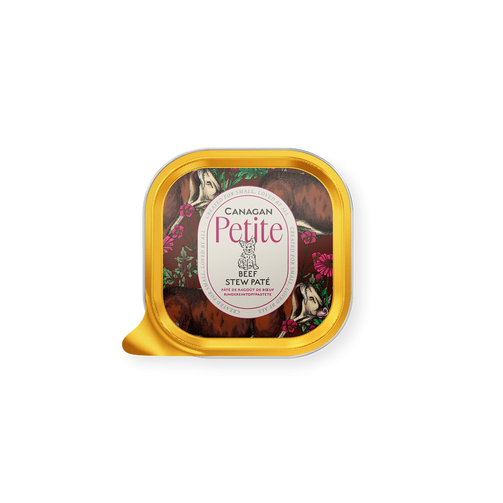 Canagan Wet Dog Food: Petite Beef Stew Pate 100g