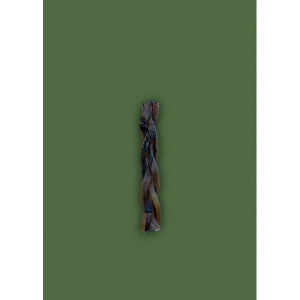 ANCO Naturals Camel Collagen Braid Medium