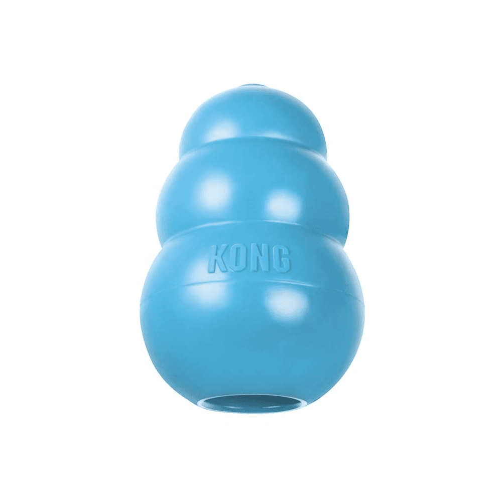 KONG Puppy Blue