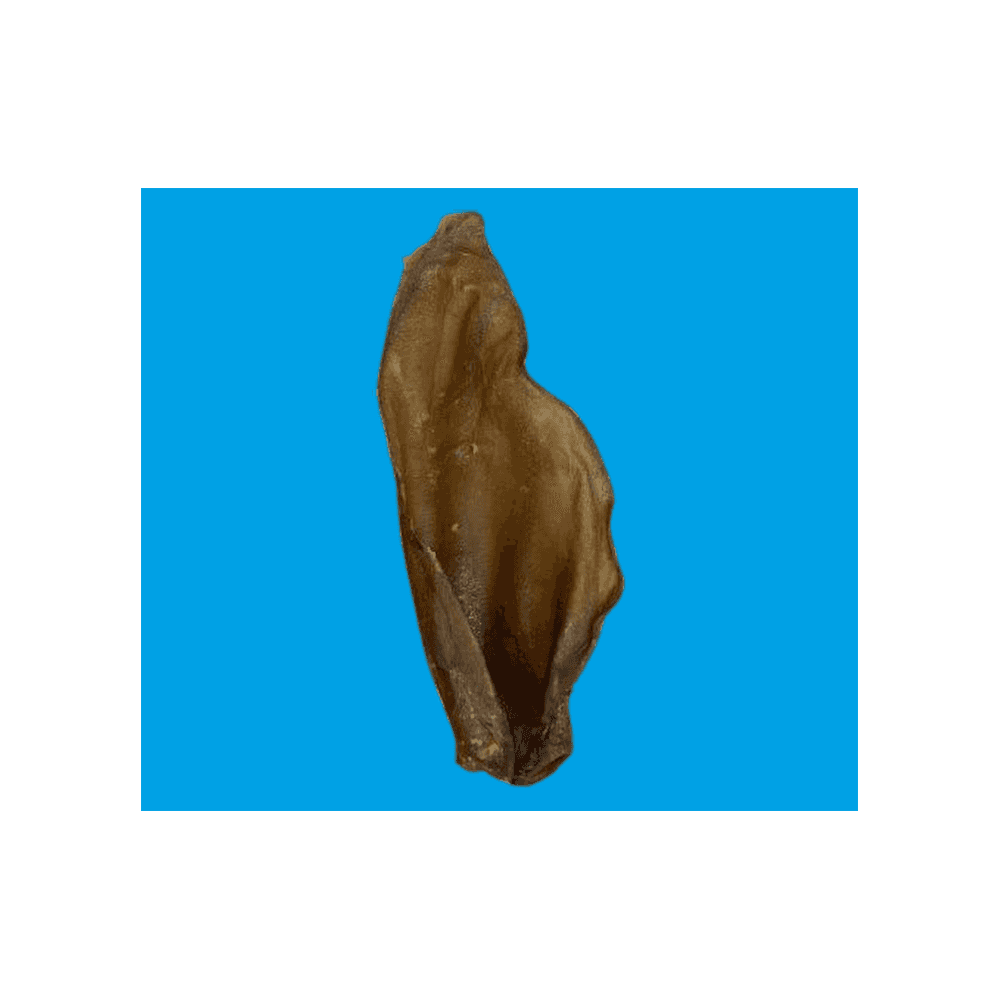 Natural Dog Treats Large Buffalo Ear with No Hair