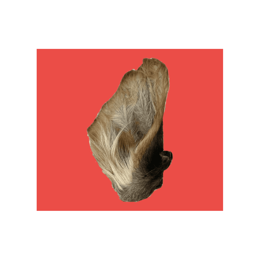 Natural Dog Treats Cow Ear with Hair
