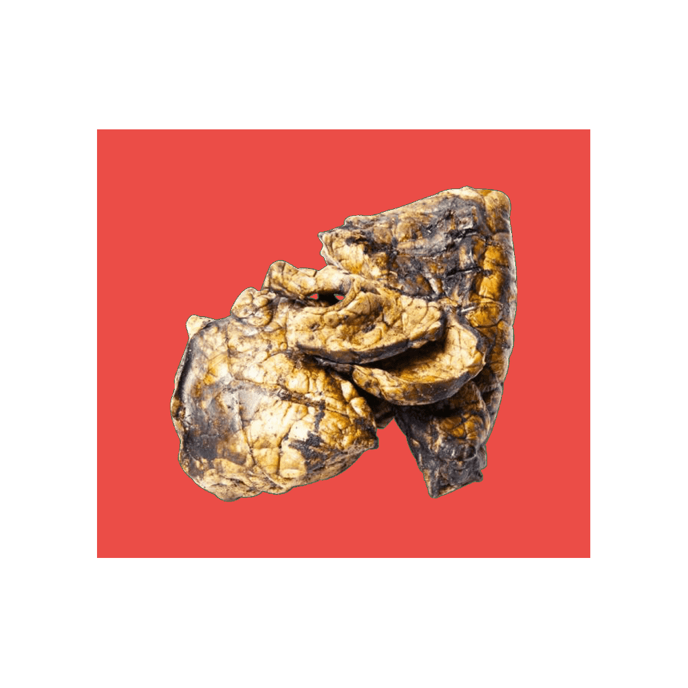 Natural Dog Treats British Puffed Jerky 500g