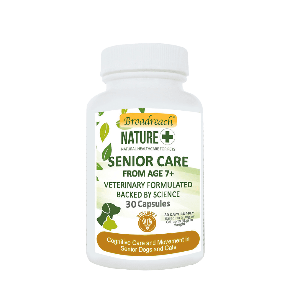 Broadreach Nature Senior Care for Dogs & Cats