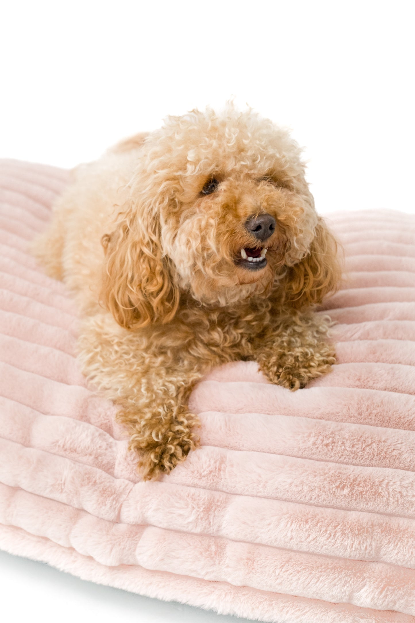 Snug & Cosy Alaska Faux Fur Rose Lounger Cushion