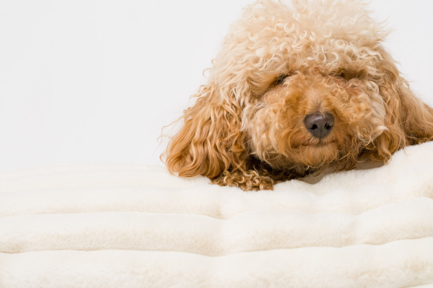 Snug & Cosy Alaska Faux Fur Ivory Lounger Cushion