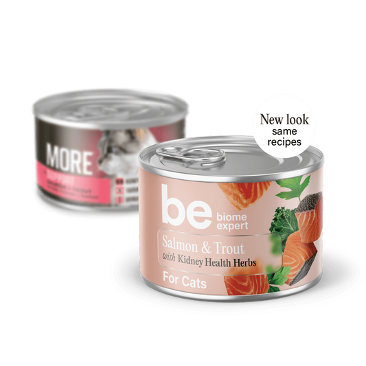 Biome Expert Wet Cat Food: Kidney Health Salmon & Trout 190g