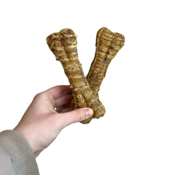 Buffalo Trachea Bone (1pk)