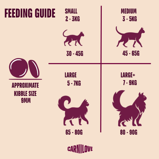 Carnilove Cat Food: True Fresh Adult Fish & Turkey