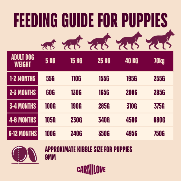 Carnilove Dog Food: True Fresh Puppy Duck