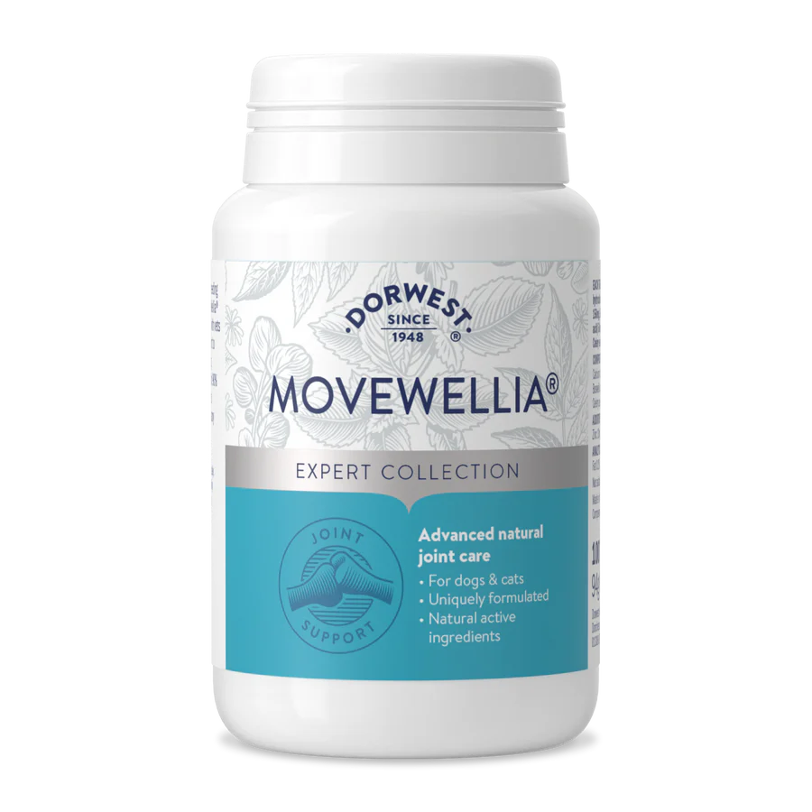 Dorwest Herbs MoveWellia Tablets for Dogs 200 Tablets