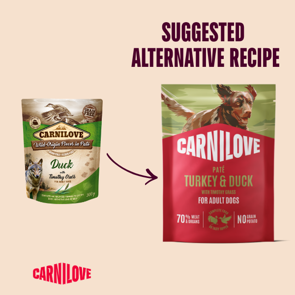 Carnilove Wet Dog Food: Pouch Adult Turkey & Duck in Paté 300g