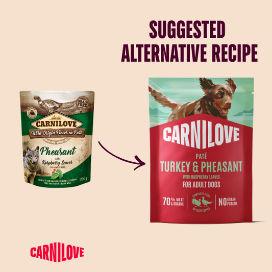 Carnilove Wet Dog Food: Pouch Adult Turkey & Pheasant in Paté 300g