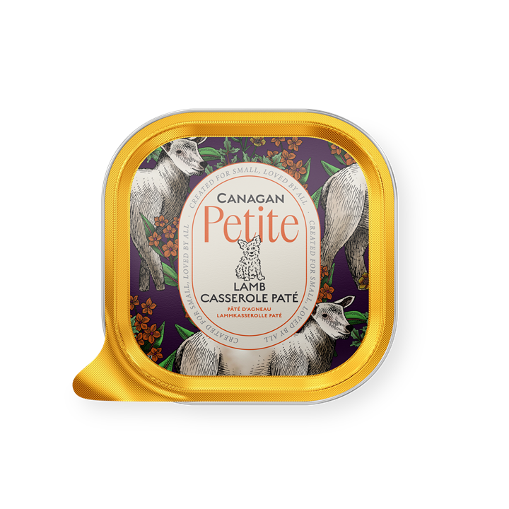 Canagan Wet Dog Food: Petite Lamb Casserole Pate 100g
