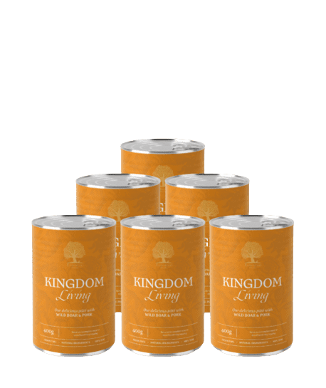 Essential Wet Dog Food: Adult Kingdom Living (Wild Boar & Pork) Pâté 6x400g