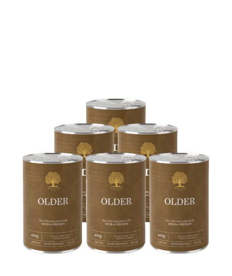 Essential Wet Dog Food: Senior (Duck & Chicken) Pâté 6x400g