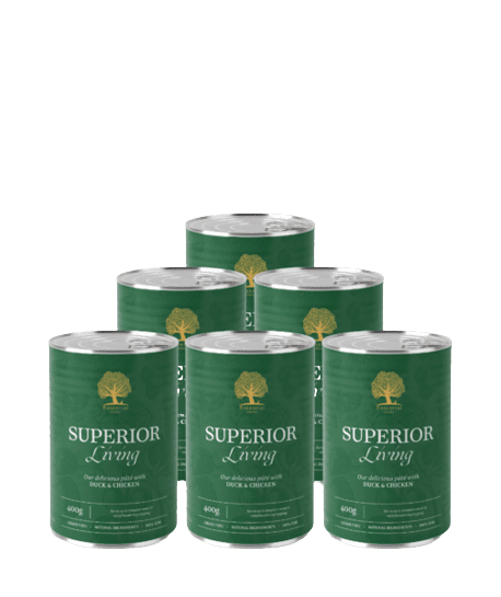 Essential Wet Dog Food: Adult Superior Living (Duck & Chicken) Pâté 6x400g