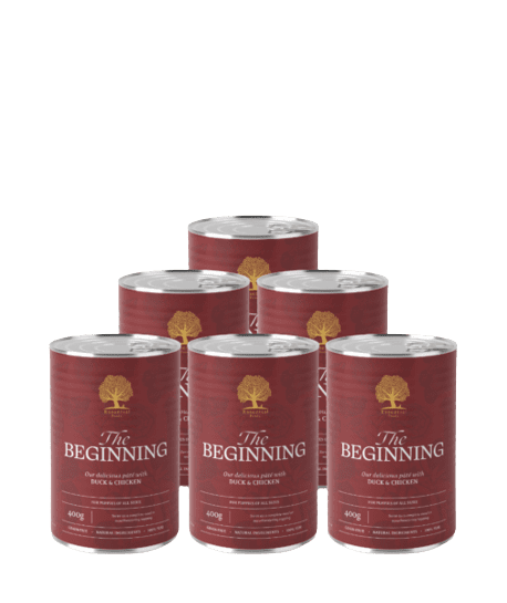 Essential Wet Dog Food: Puppy (Duck & Chicken) Pâté 6x400g