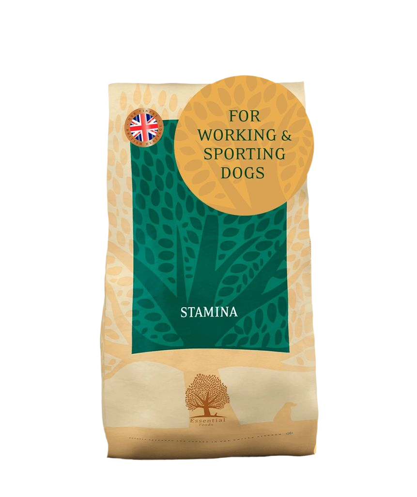 Essential Dog Food: Working Adult Stamina (Chicken, Duck, Salmon & Trout)