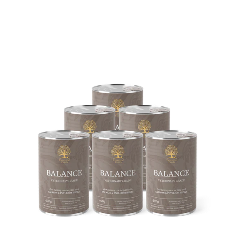 Essential Wet Dog Food: Adult Balance (Salmon & Psyllium Husks) 6x400g