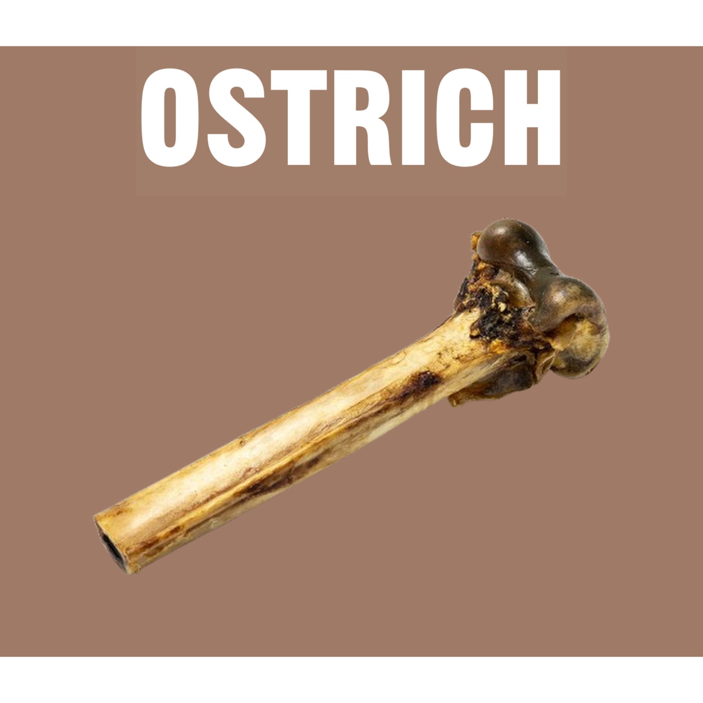 Natural Dog Treats Ostrich Metatarsus Bone