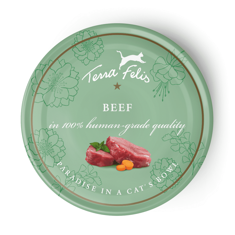 Terra Felis Wet Cat Food: Beef