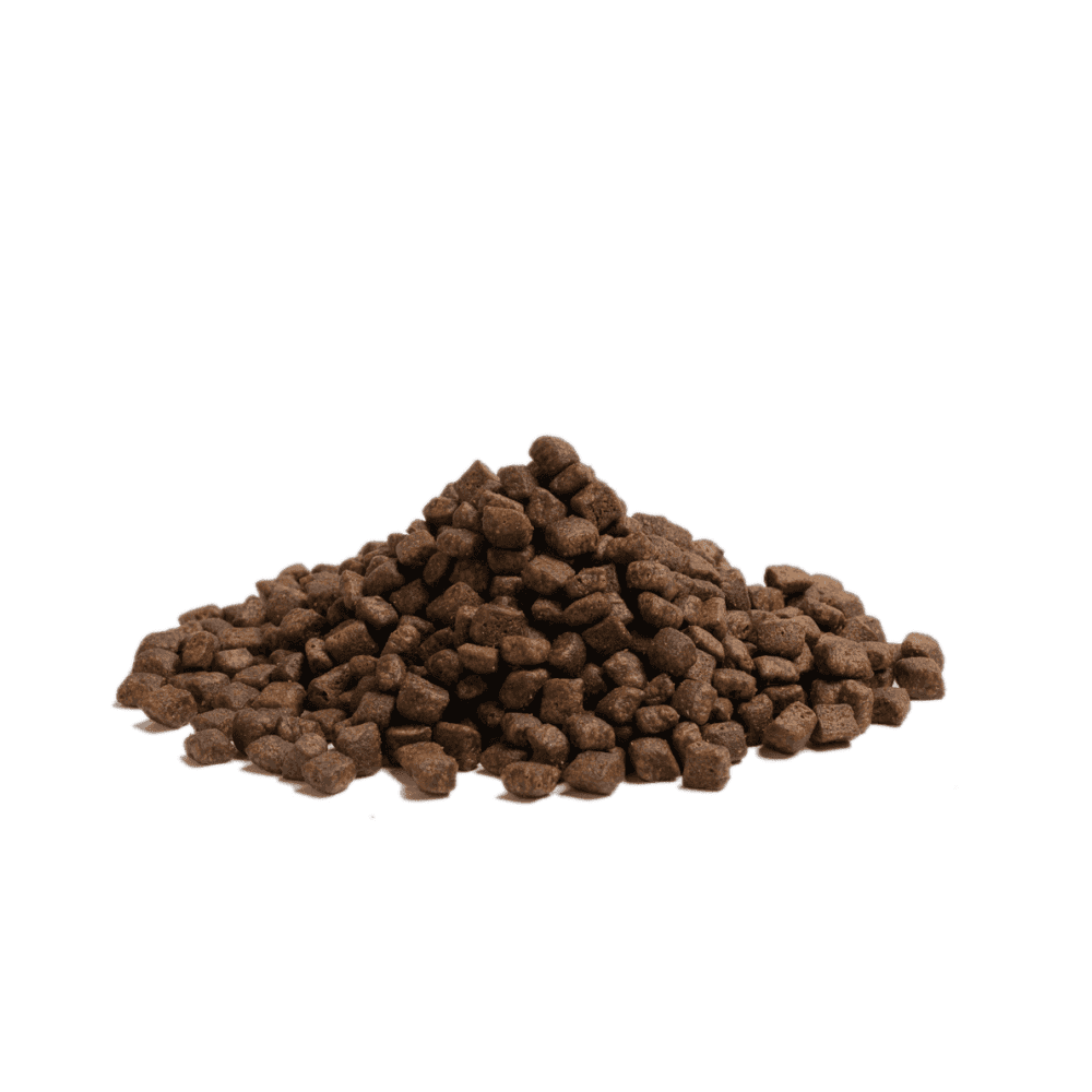 Essential Dog Food: Adult Highland Living (Beef, Turkey & Salmon) Small Kibble 2.5kg