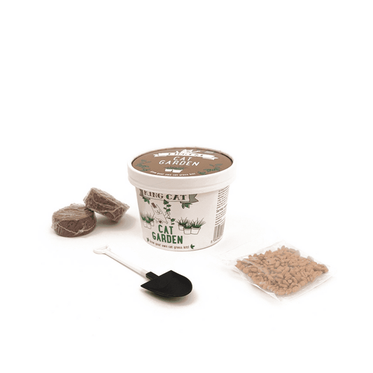 King Catnip Cat Garden