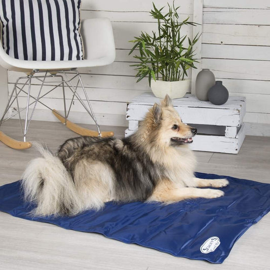 Scruffs Cool Mat Small (50x40cm)