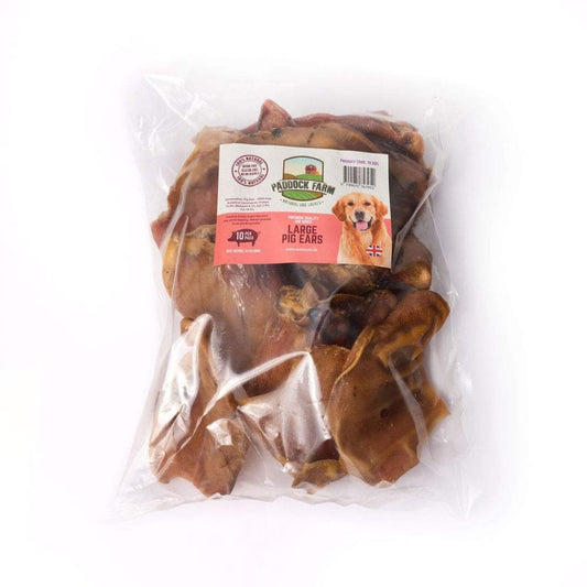 NOVA Large Pig Ears 10pk