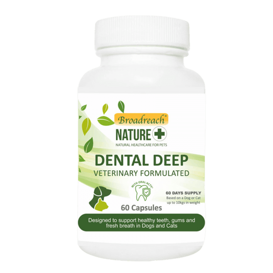 Broadreach Nature Dental Deep Care Powder for Dogs & Cats 50g