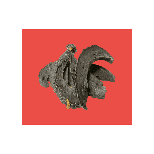 Natural Dog Treats Dried Beef Liver 1kg
