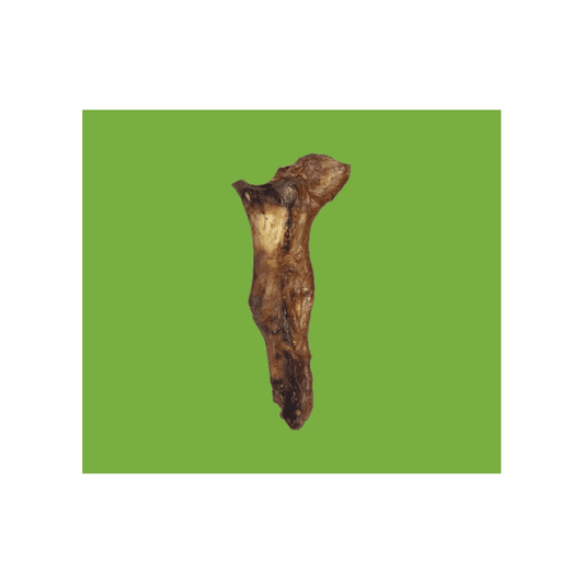 Natural Dog Treats Ostrich Foot