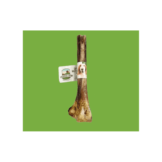 Natural Dog Treats Ostrich Metatarsus Bone