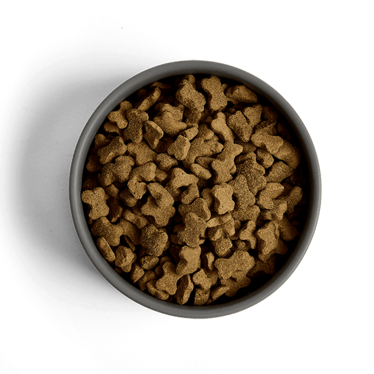 MORE Dog Food: +First Steps Large Breed Chicken 12kg