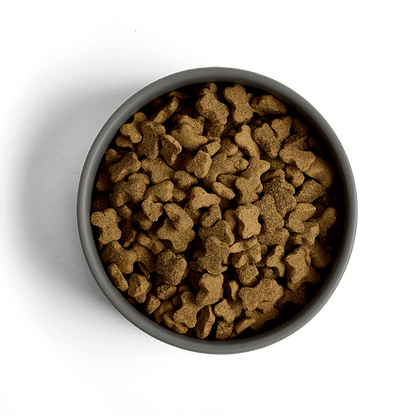 MORE Dog Food: +First Steps Large Breed Chicken 12kg