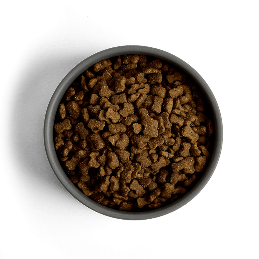 MORE Dog Food: +First Steps All Breeds Chicken 12kg