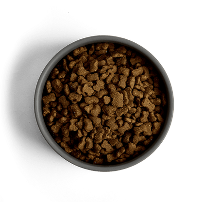 MORE Dog Food: +First Steps All Breeds Chicken 12kg