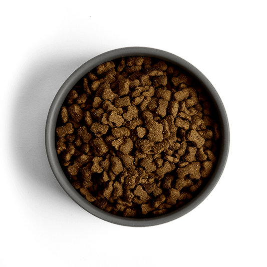 MORE Dog Food: +First Steps All Breeds Chicken 12kg