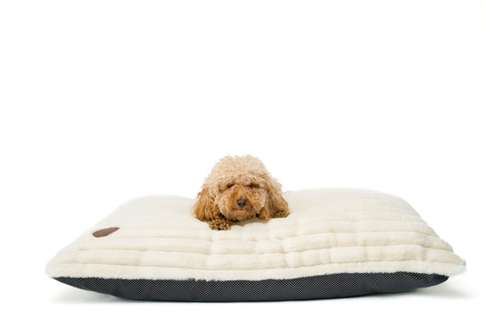 Snug & Cosy Alaska Faux Fur Ivory Lounger Cushion