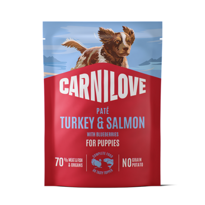 Carnilove Wet Dog Food: Pouch Puppy Turkey & Salmon in Paté 300g