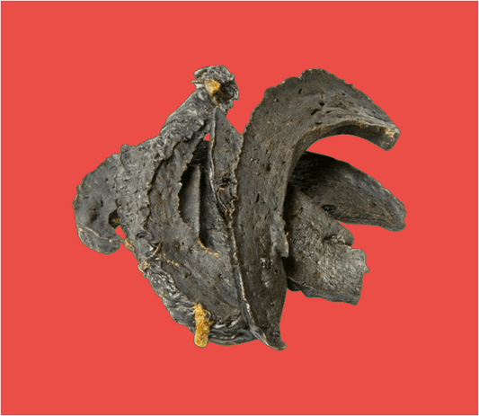 Natural Dog Treats: Dried Beef Liver 150g
